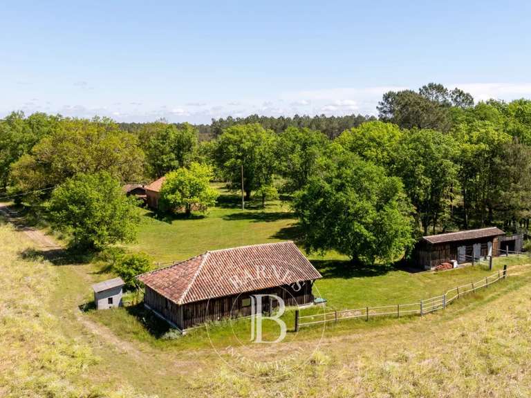 Maison Magescq - 4 chambres - 200m²