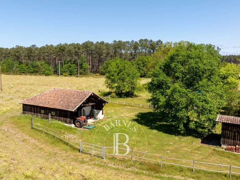 Maison Magescq - 4 chambres - 200m²