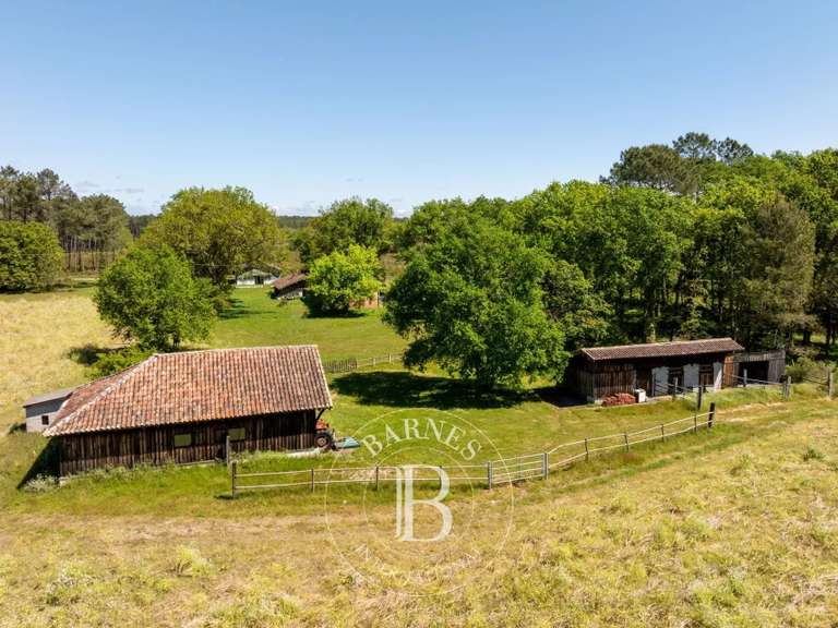 Maison Magescq - 4 chambres - 200m²