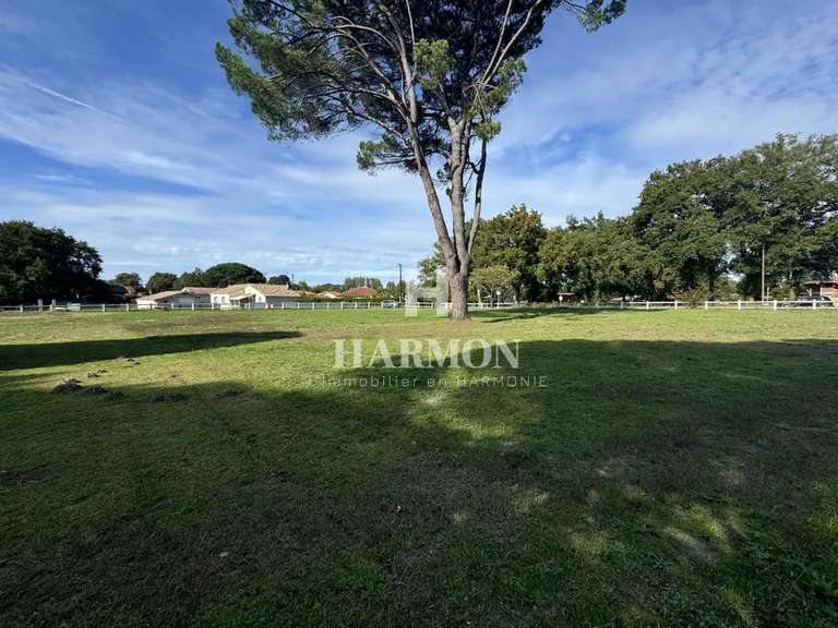 Propriété Magescq - 260m²