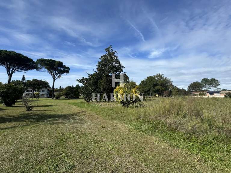 Propriété Magescq - 260m²