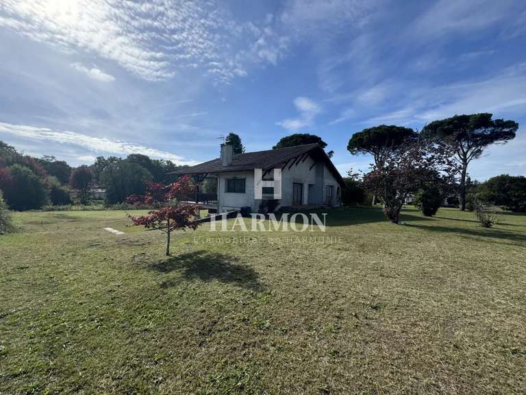 Propriété Magescq - 260m²