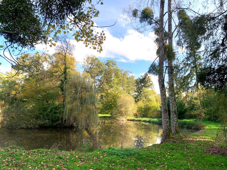 Castle Magny-Cours - 9 bedrooms - 1700m²