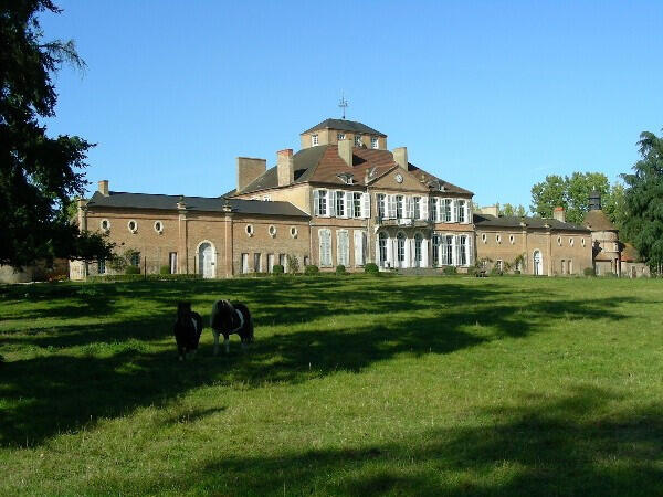 Castle Magny-Cours - 9 bedrooms - 1700m²