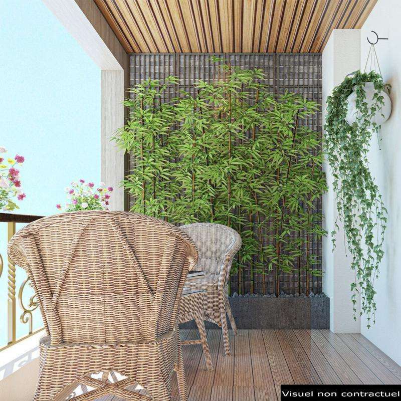 Appartement Maillane