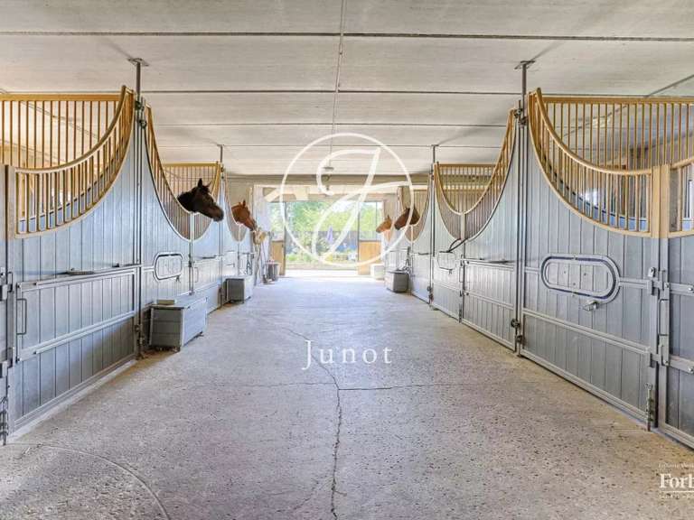 Maison Maisons-Laffitte - 1200m²