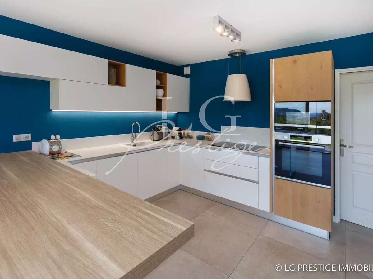 House Mandelieu-la-Napoule