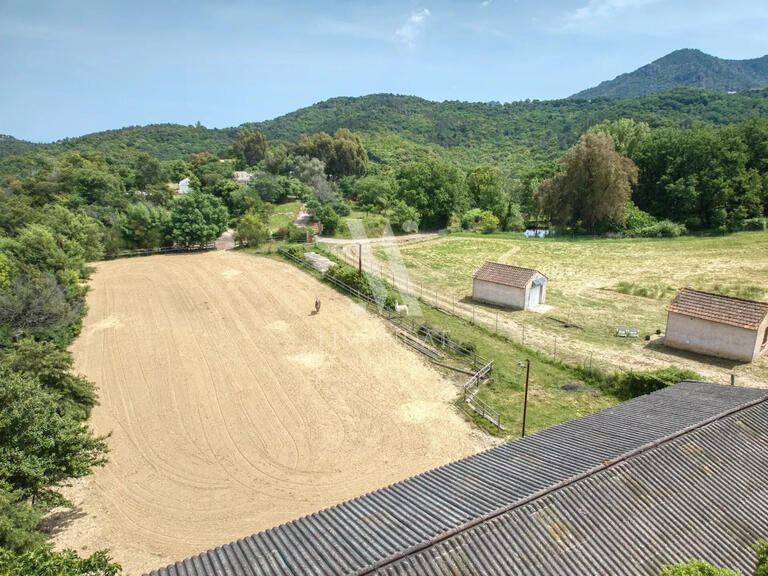Propriété équestre Mandelieu-la-Napoule - 7 chambres - 524m²