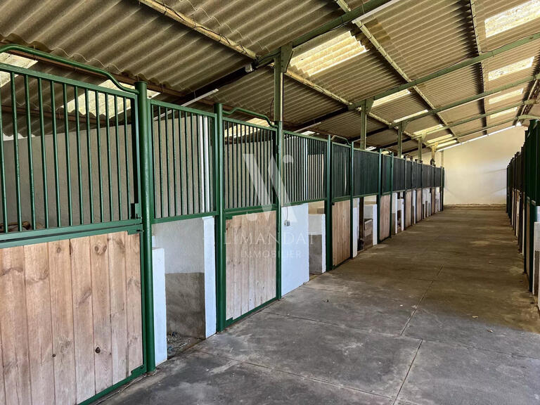 Propriété équestre Mandelieu-la-Napoule - 7 chambres - 524m²