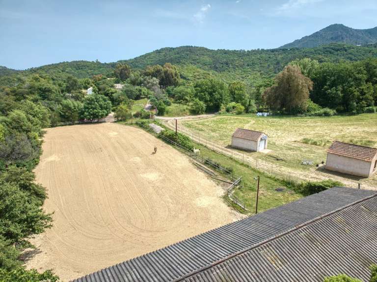 Propriété équestre Mandelieu-la-Napoule - 5 chambres - 200m²
