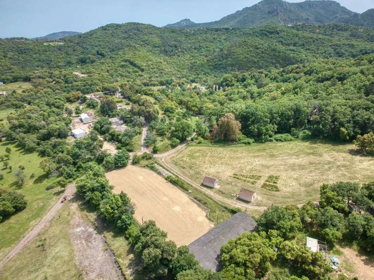 Propriété équestre Mandelieu-la-Napoule - 5 chambres - 200m²