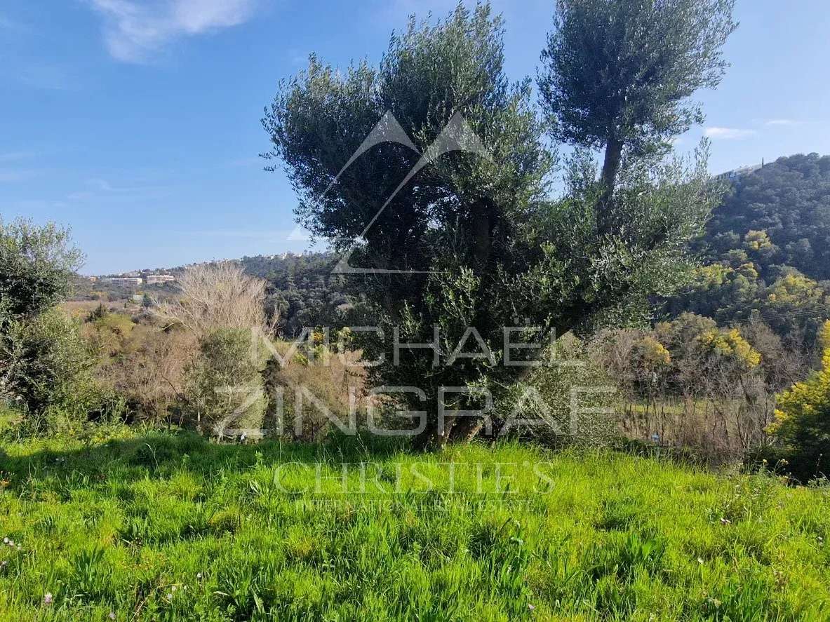 Terrain Mandelieu-la-Napoule