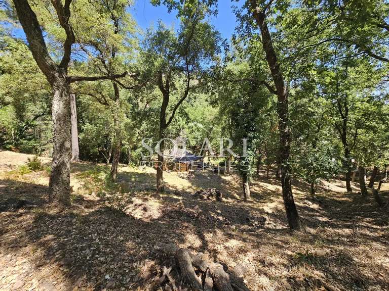 Villa avec Vue sur mer Mandelieu-la-Napoule - 5 chambres - 244m²