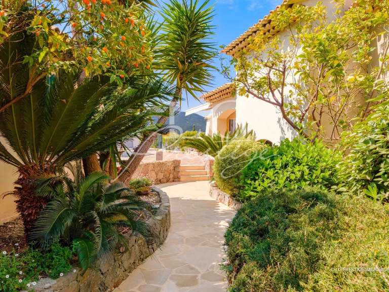 Villa Mandelieu-la-Napoule - 4 chambres - 200m²