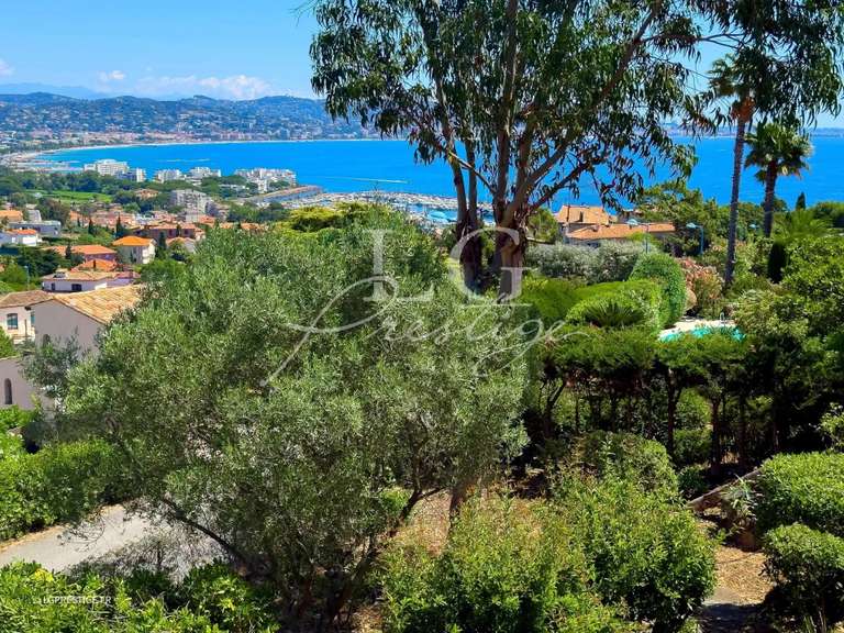Villa Mandelieu-la-Napoule - 4 chambres - 220m²