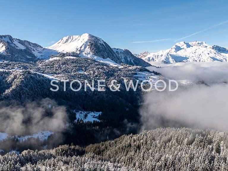 Chalet Manigod - 3 bedrooms - 146m²