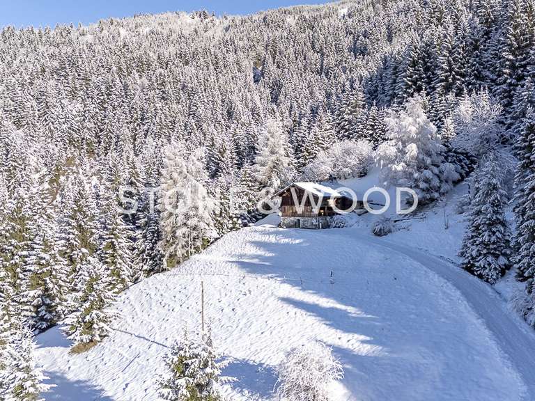 Chalet Manigod - 3 bedrooms - 146m²