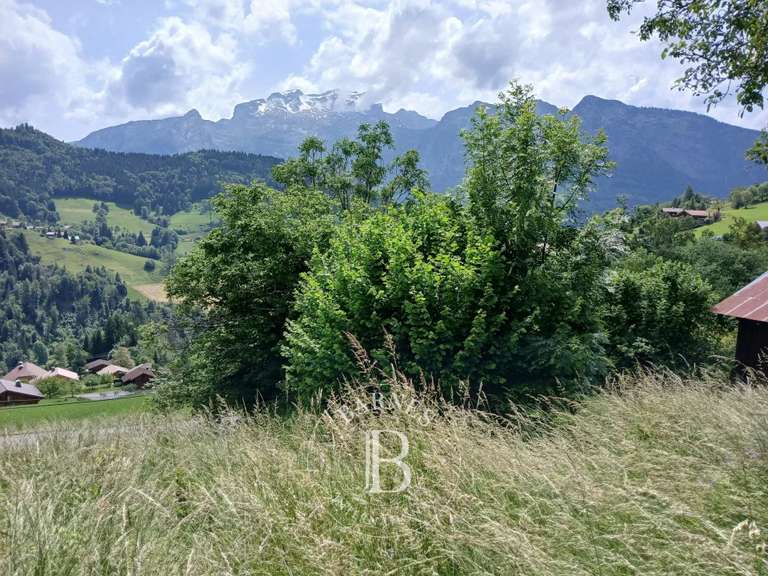 Terrain Manigod - 801m²