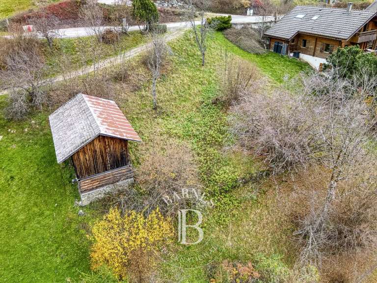 Terrain Manigod - 801m²