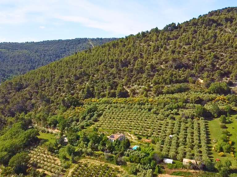 Maison Manosque - 4 chambres - 130m²