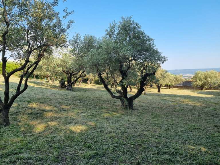 Villa Manosque - 4 bedrooms - 260m²