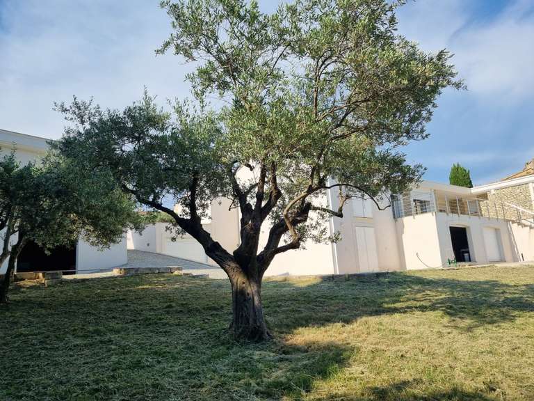 Villa Manosque - 4 bedrooms - 260m²