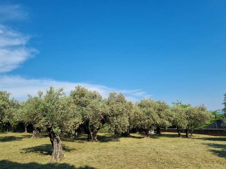 Villa Manosque - 4 bedrooms - 260m²