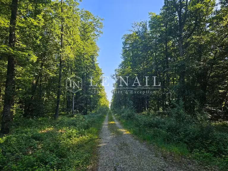 Terrain Marchemaisons - 724590m²