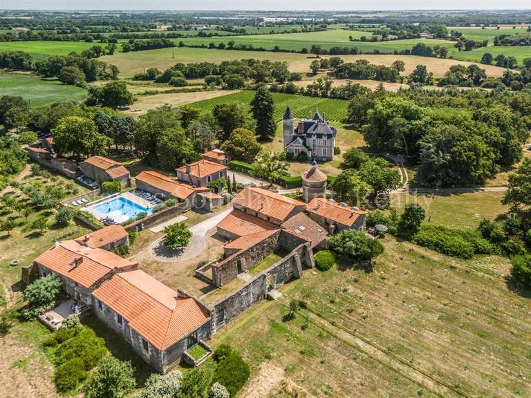 Château Mareuil-sur-Lay-Dissais - 16 chambres - 300m²