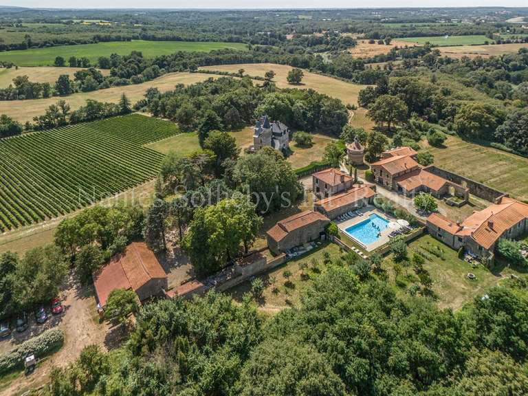 Château Mareuil-sur-Lay-Dissais - 16 chambres - 300m²