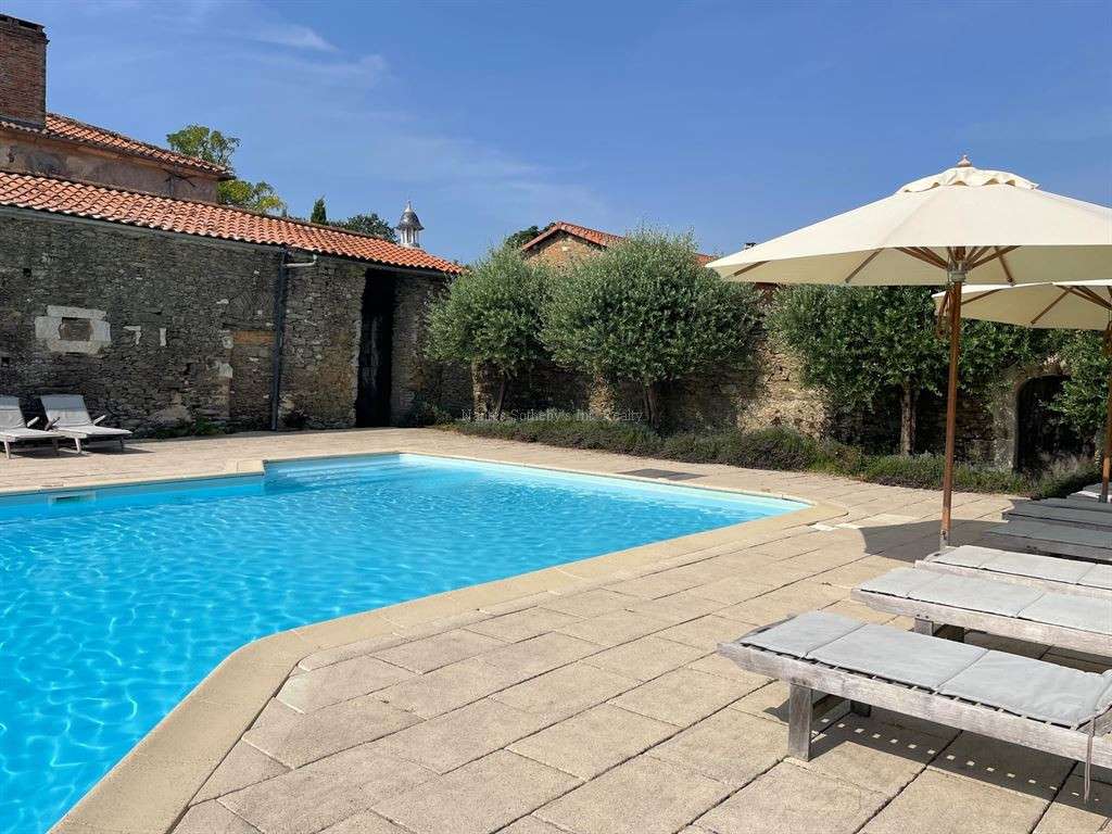 Château Mareuil-sur-Lay-Dissais