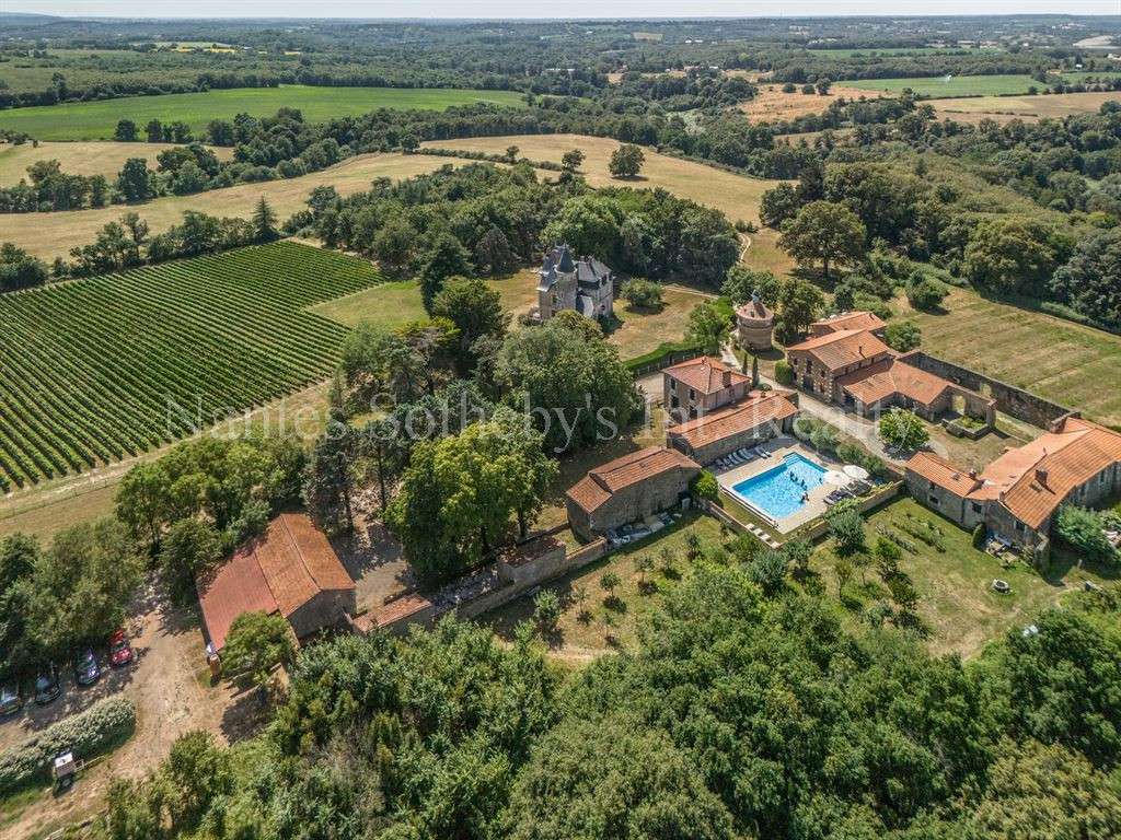 Château Mareuil-sur-Lay-Dissais