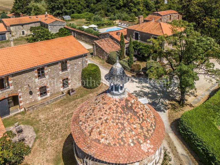 Château Mareuil-sur-Lay-Dissais - 16 chambres - 300m²