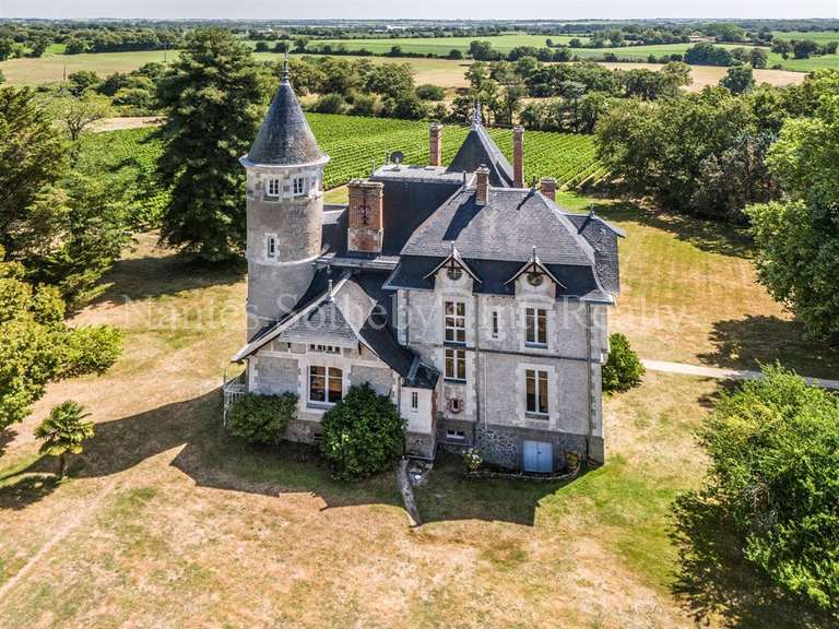 Château Mareuil-sur-Lay-Dissais - 16 chambres - 300m²