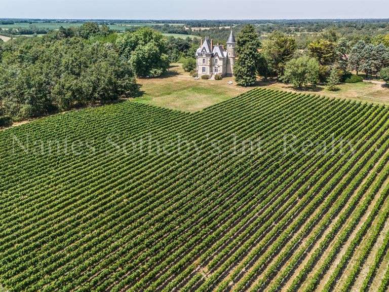 Château Mareuil-sur-Lay-Dissais - 16 chambres - 300m²