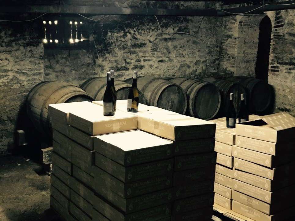 Château Mareuil-sur-Lay-Dissais