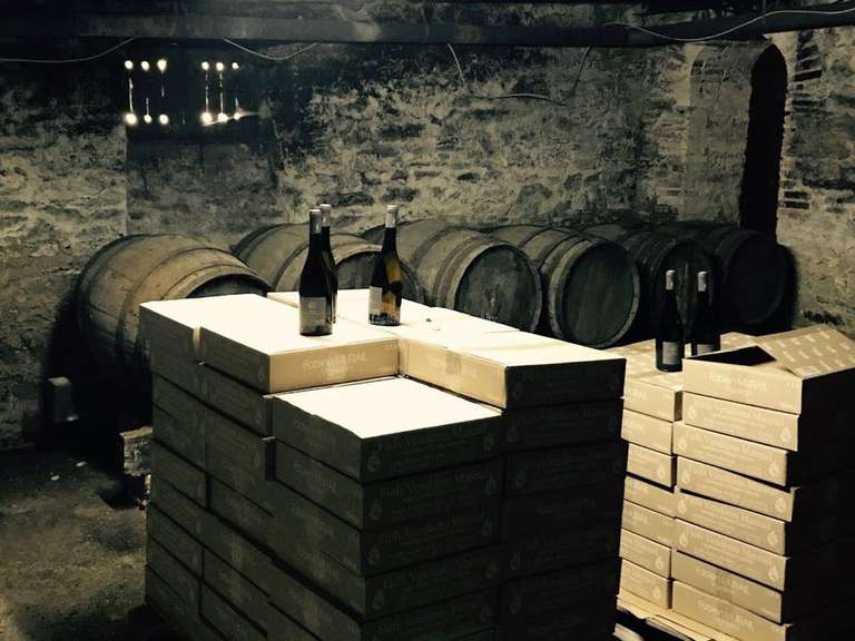 Château Mareuil-sur-Lay-Dissais - 16 chambres - 300m²