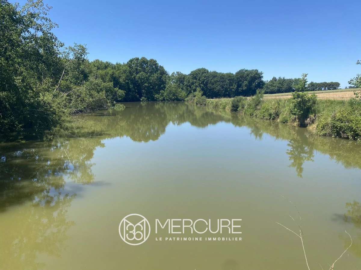 Propriété Marmande