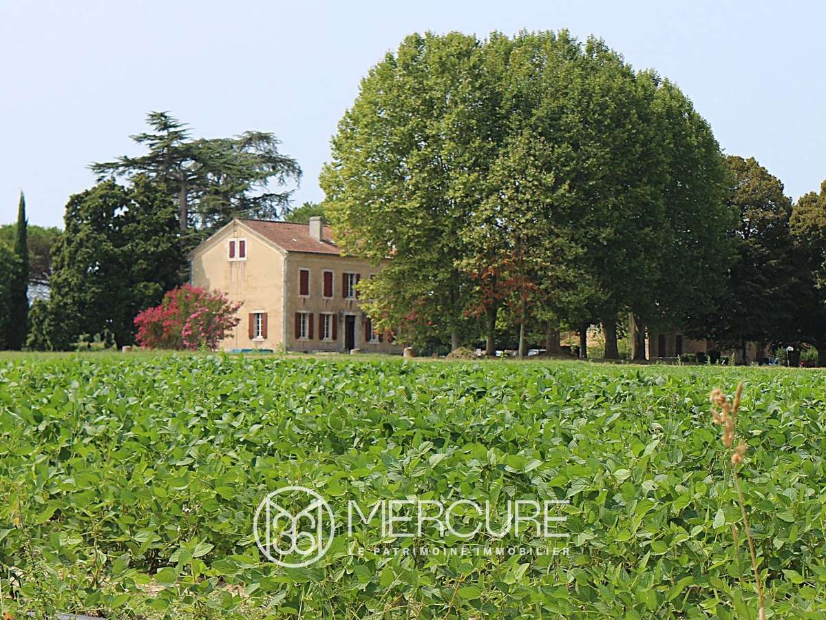 Propriété Marmande