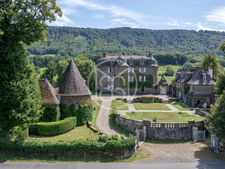 Vente Château Marmanhac - 20 chambres