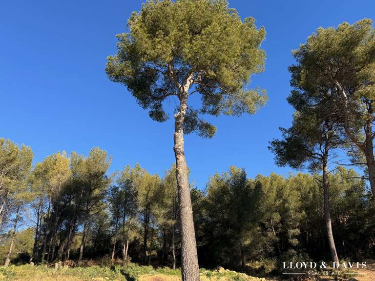 Maison Marseille 11e - 4 chambres - 300m²