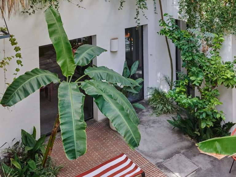 Maison Marseille 7e - 6 chambres - 291m²