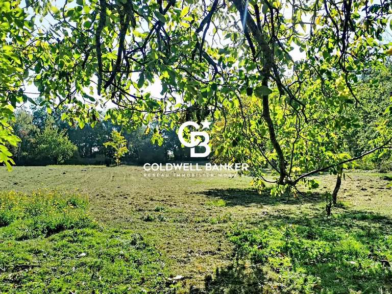 Maison Marsilly - 5 chambres - 196m²