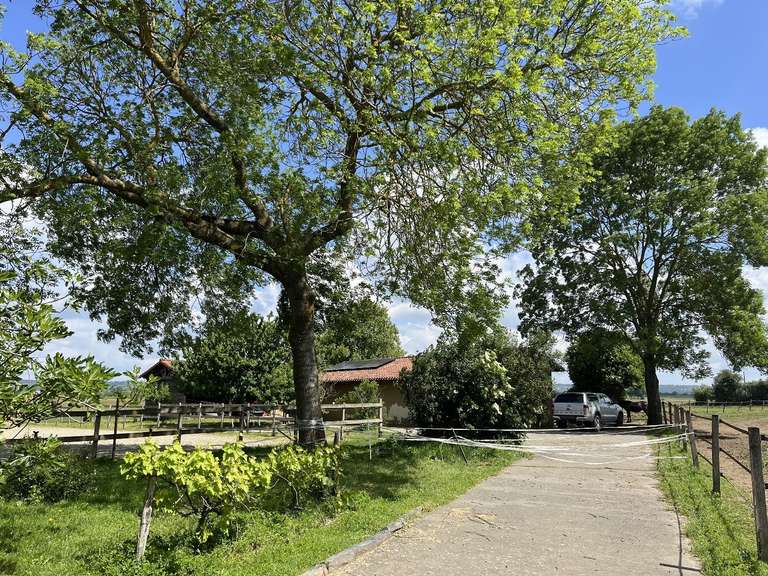 Propriété Martres-de-Rivière - 4 chambres - 228m²