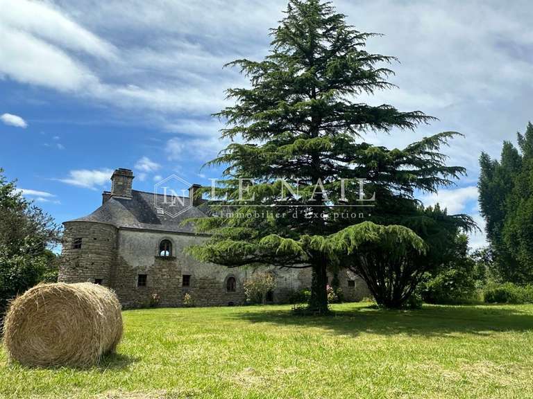 Manoir Marzan - 6 chambres - 520m²
