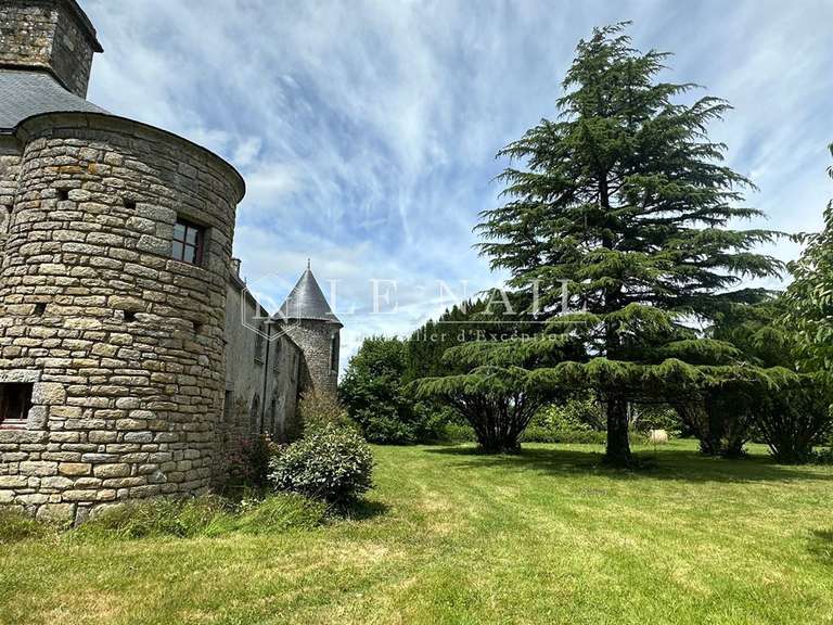Manoir Marzan - 6 chambres - 520m²
