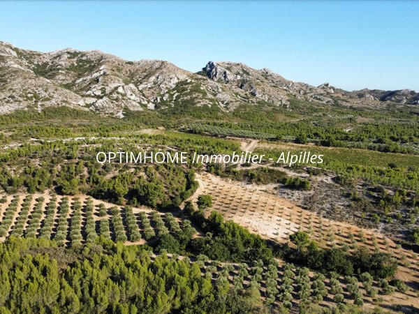 Vente Propriété Mas-Blanc-des-Alpilles - 30 chambres