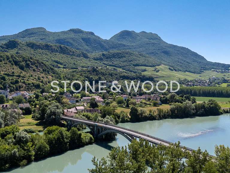 Château Massignieu-de-Rives - 10 chambres - 979m²