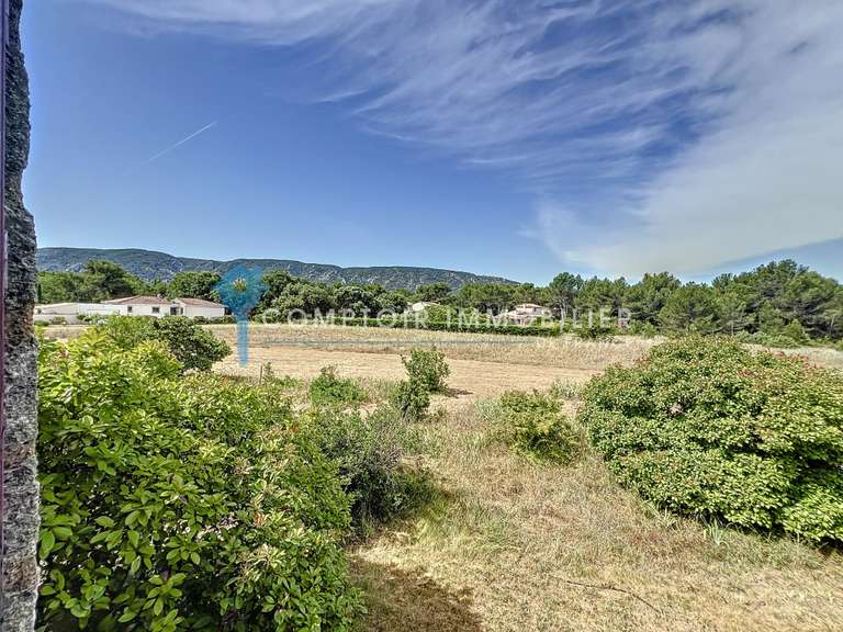 Maison Maubec - 4 chambres - 151m²