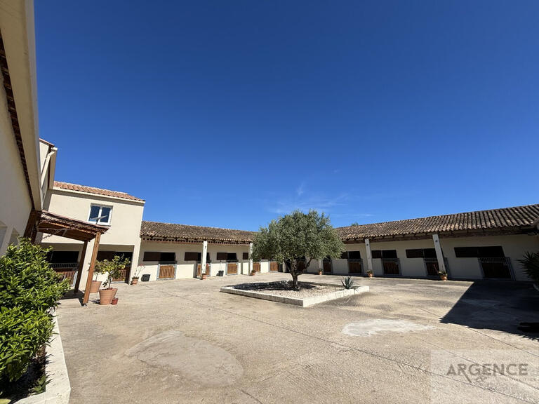Propriété équestre Mauguio - 4 chambres